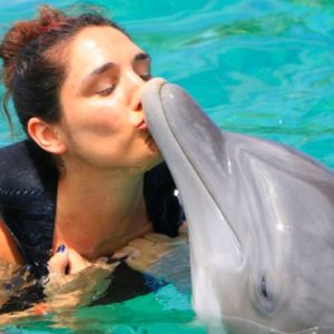 los mejores lugares para nadar con delfines en el mundo