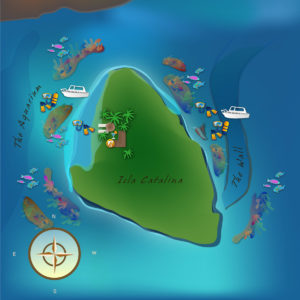 catalina-insulă