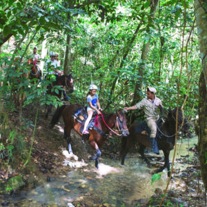 activities-group-like-horse-back-riding-punta-cana