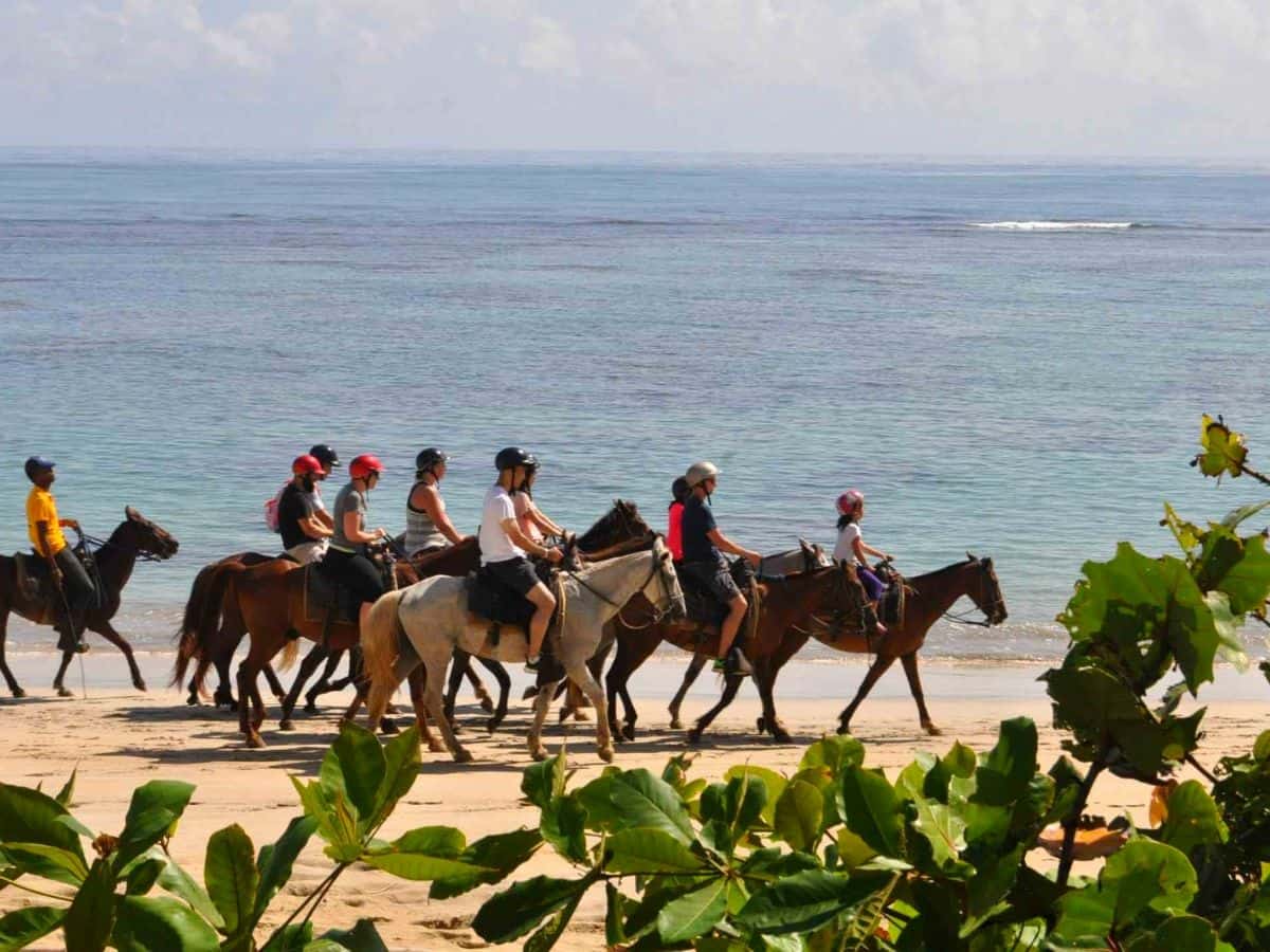 Paseos a caballo-Punta Cana-1